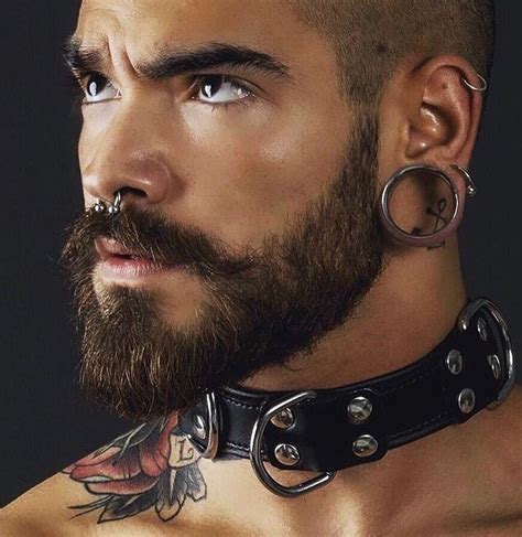 septum piercing guy|leather men wearing septum tusks.